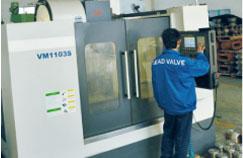 Production Cabapality4