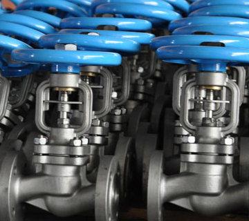 DIN Bellows Globe Valves