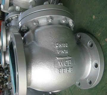 DIN Standard Check Valves
